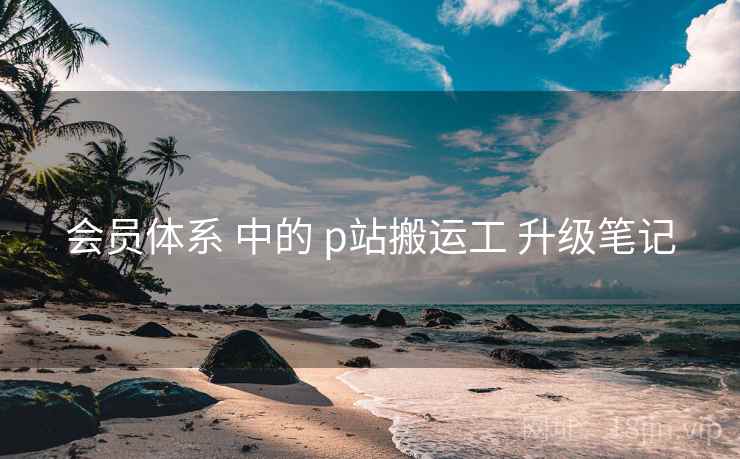 会员体系 中的 p站搬运工 升级笔记  第1张