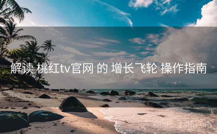 解读 桃红tv官网 的 增长飞轮 操作指南  第2张