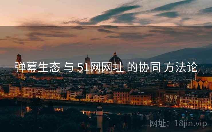 弹幕生态 与 51网网址 的协同 方法论  第2张