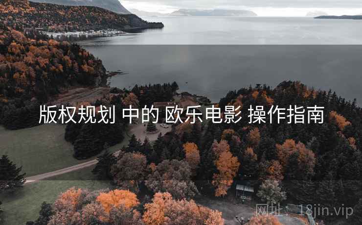 版权规划 中的 欧乐电影 操作指南  第1张