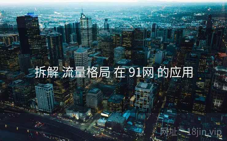 拆解 流量格局 在 91网 的应用  第1张