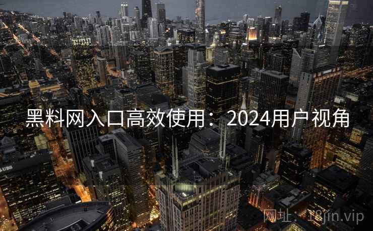 黑料网入口高效使用：2024用户视角  第1张