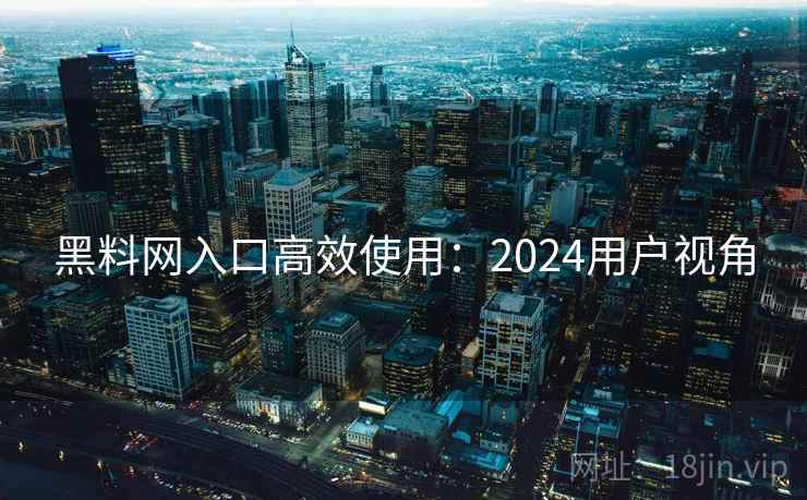 黑料网入口高效使用：2024用户视角  第2张