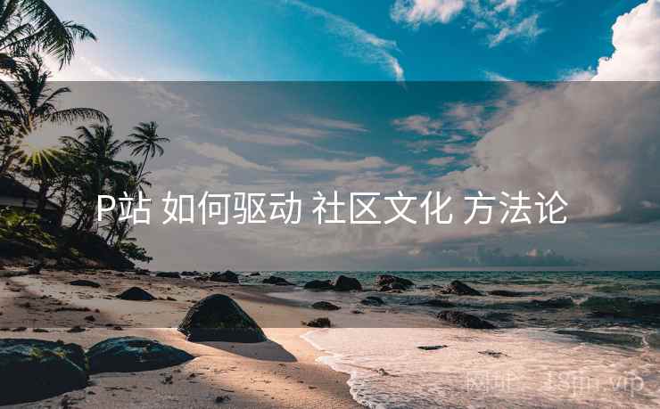 P站 如何驱动 社区文化 方法论  第1张