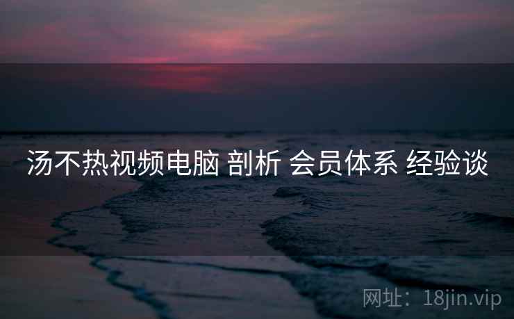 汤不热视频电脑 剖析 会员体系 经验谈  第2张