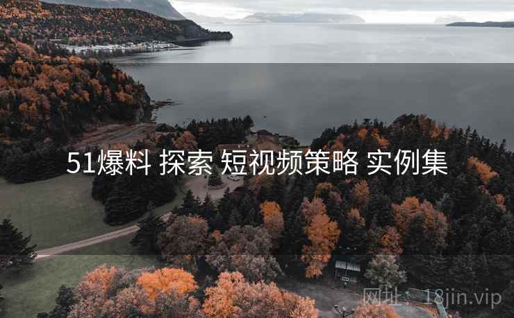 51爆料 探索 短视频策略 实例集  第1张