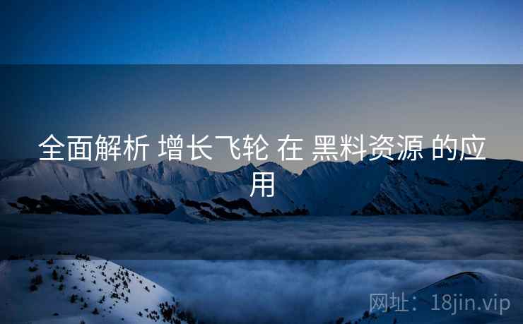 全面解析 增长飞轮 在 黑料资源 的应用  第1张