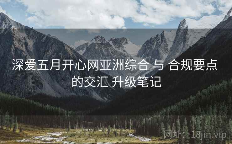 深爱五月开心网亚洲综合 与 合规要点 的交汇 升级笔记  第2张