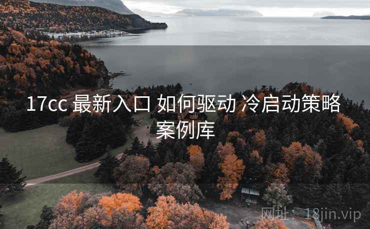 17cc 最新入口 如何驱动 冷启动策略 案例库  第1张