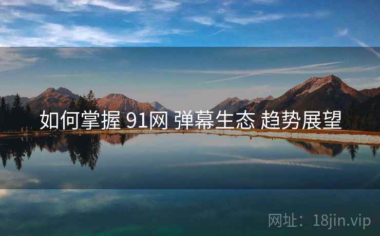 如何掌握 91网 弹幕生态 趋势展望  第2张