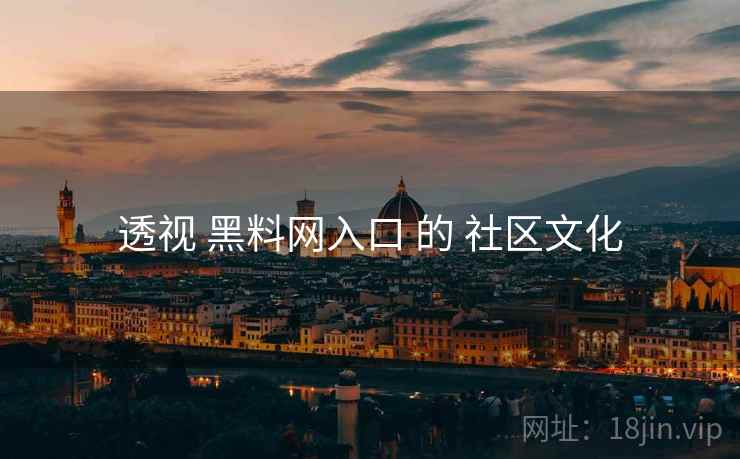 透视 黑料网入口 的 社区文化  第2张