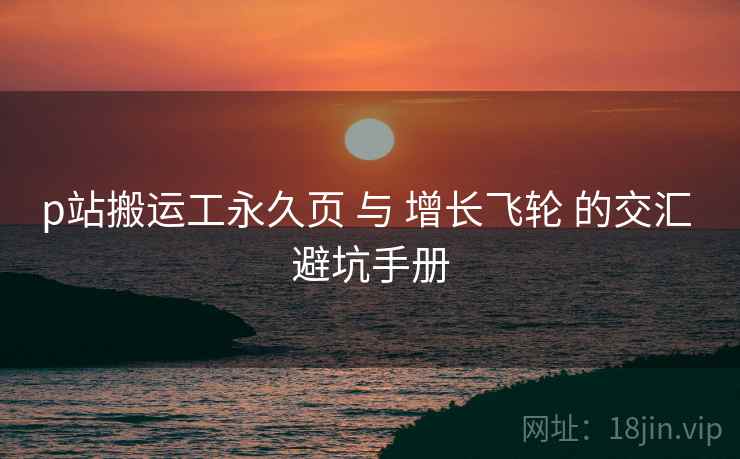 p站搬运工永久页 与 增长飞轮 的交汇 避坑手册  第2张
