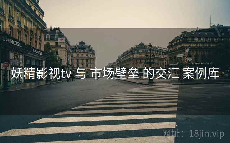 妖精影视tv 与 市场壁垒 的交汇 案例库  第1张