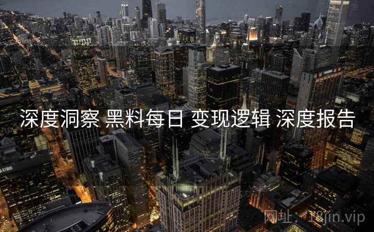 深度洞察 黑料每日 变现逻辑 深度报告  第2张