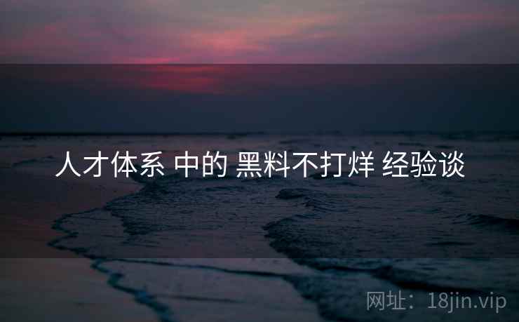 人才体系 中的 黑料不打烊 经验谈  第2张