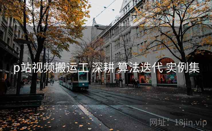 p站视频搬运工 深耕 算法迭代 实例集  第1张
