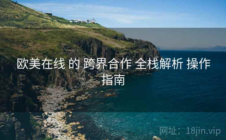欧美在线 的 跨界合作 全栈解析 操作指南  第2张