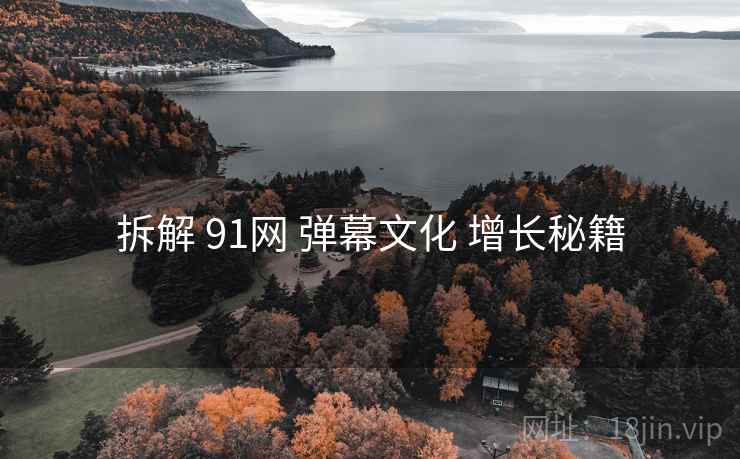 拆解 91网 弹幕文化 增长秘籍  第1张