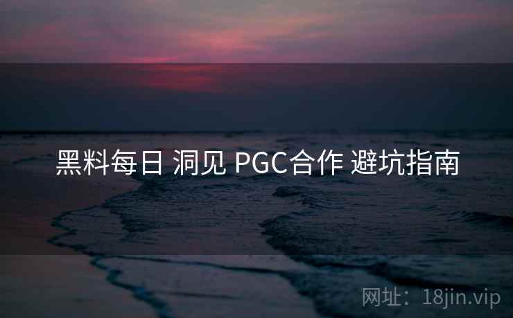 黑料每日 洞见 PGC合作 避坑指南  第1张