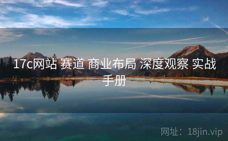 17c网站 赛道 商业布局 深度观察 实战手册  第2张