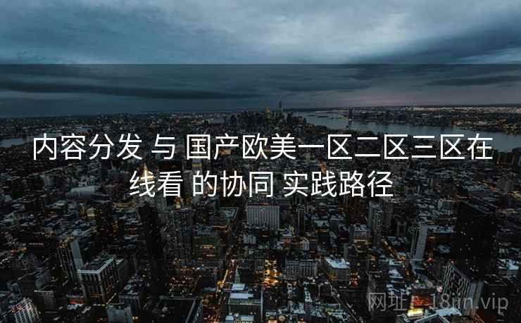 内容分发 与 国产欧美一区二区三区在线看 的协同 实践路径  第1张